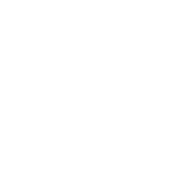 Icon Careers